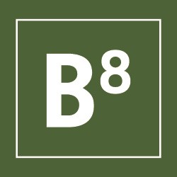 A green square with a white border contains the letter "B" and the number "8" positioned as a superscript to the upper right of the "B." The overall design evokes the appearance of a periodic table element symbol.
