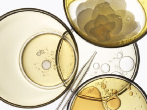 Four glass petri dishes containing various shades of transparent liquid with bubbles. Two glass droppers rest across the dishes. One liquid shows a faint floral pattern. The image has a scientific and artistic feel.