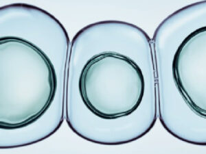 Close-up image of three translucent, overlapping soap bubbles against a light background. The bubbles have a shiny surface and soft reflections, creating a delicate and airy appearance.